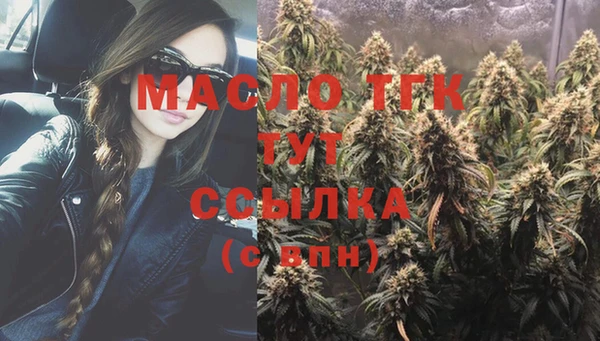 дмт Инсар