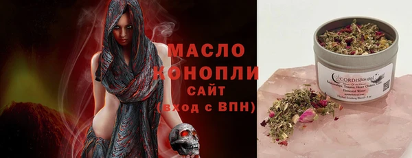 дмт Инсар