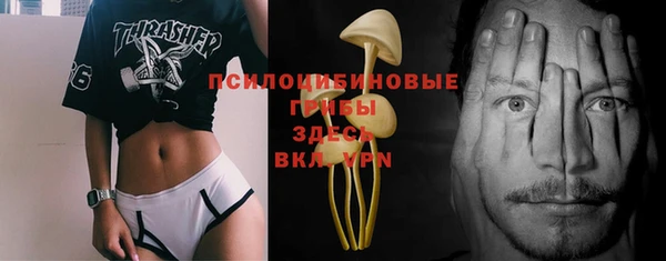эйфоретик Иннополис