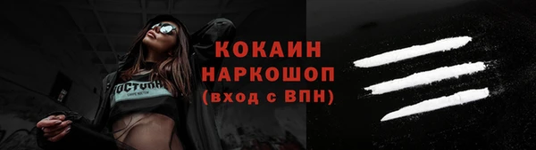 дмт Инсар