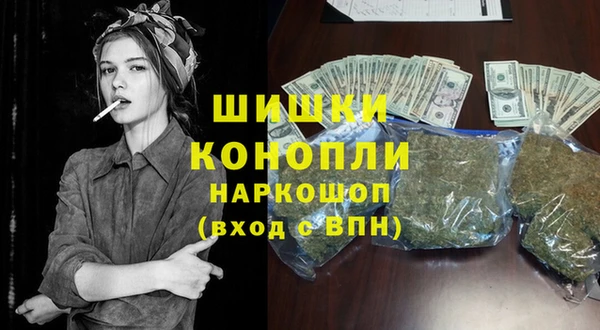 дмт Инсар