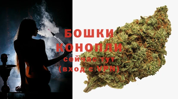 дмт Инсар