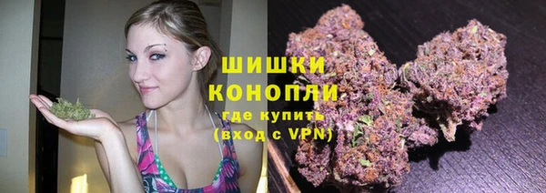 эйфоретик Иннополис