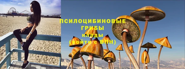 эйфоретик Иннополис