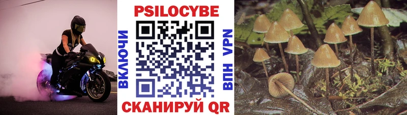 Купить  Смоленск  Галлюциногенные грибы Magic Shrooms 